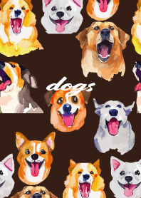 Cheerful big dogs on brown