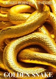 Golden snake  Lucky 64
