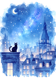 Black cat in the city under the sky