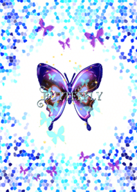 butterfly's room*25