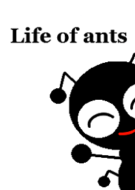 Life of ants