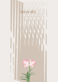 January's birth flower,Amaryllis