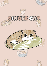 gingercat11 - sea shell
