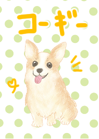 せみまりのコーギー着せかえ