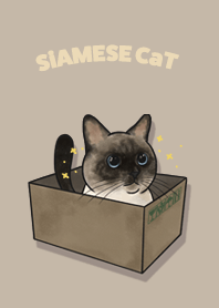 siamesecat1 / tan