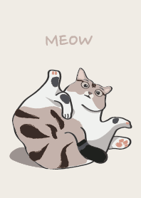 DJ house cat cute feet