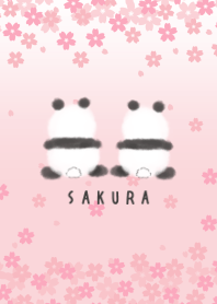 暖かな春。桜と双子のパンダ。
