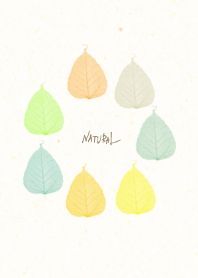 Colorful leaf circle5 from Japan