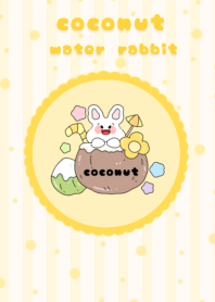 coconut water rabbit3