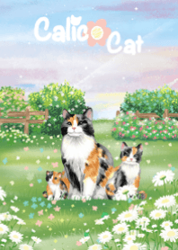 Lucky Calico Cat