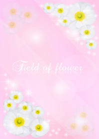 The Field of flower