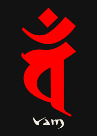 BONJI zodiac [vaM] BLACK RED (0841