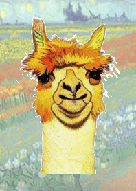 可愛的羊駝主題 3