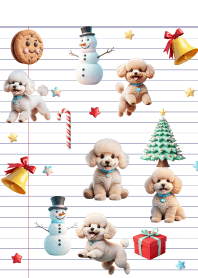 poodle dog In Christmas Day