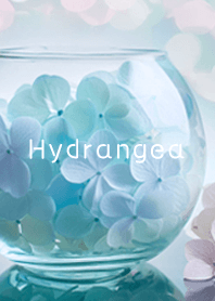 blue Stylish hydrangea 02_2