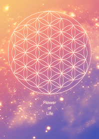 璀璨銀河與生命之花1