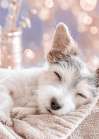 Pink Fluffy White Puppy Nap
