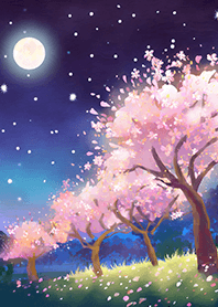 Beautiful night cherry blossoms#1229