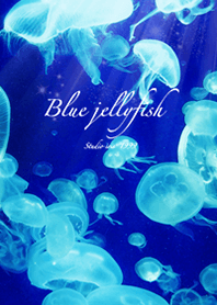 くらげ Blue jellyfish