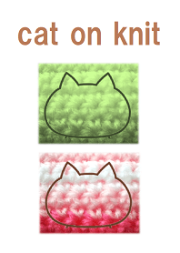 cat on knit 021