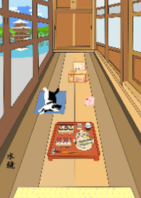 日本シリーズ 11-古民家の廊下の猫-寺.水鏡