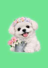 봄 인형 푸들 2 Green 02