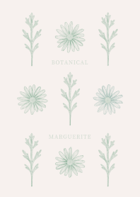 BOTANICAL - MARGUERITE / BEIGE&GREEN