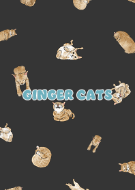 gingercats3 / black