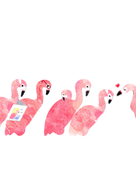 Takae Pink Flamingos!