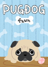 pugdog-fawn-