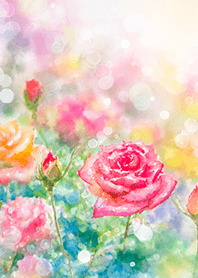 Beautiful rose flower(R2955)