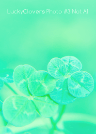 LuckyClovers Photo #3-24 Not AI