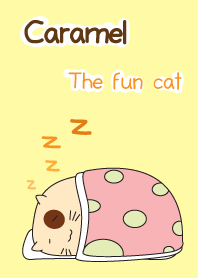 Caramel : The fun cat