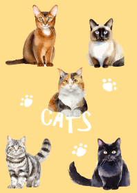 unique cats on brown & yellow