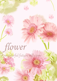 Happy gerbera flower17
