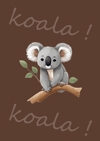 look! It's a koala!(dark brown)