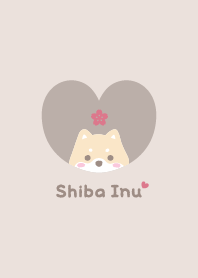 柴犬2 櫻花 [淺褐色的]