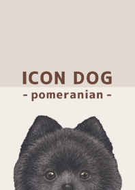 ICON DOG - pomeranian - BROWN/02