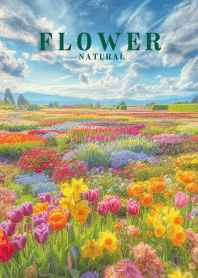 FLOWER GARDEN-HAPPY 48