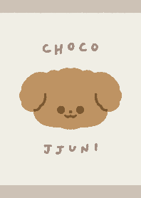 巧克力貴賓準尼