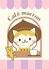 Adorável café com gato fofo