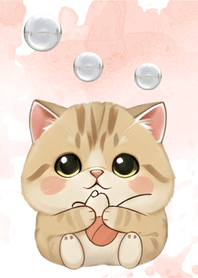 Lovely Puffy Tabby