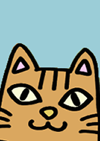 Stylish cat theme