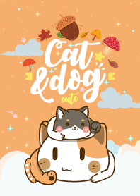 Cat & Dog Lover Orange
