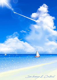 Sea breeze & Contrail