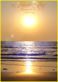 Sunset Sun Luck Dolphin*