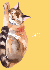 Sleeping Cat on light yellow