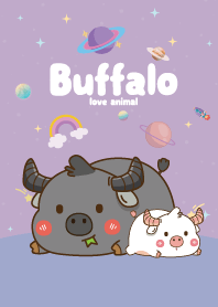 ควายน้อย คิ้วตี้ สีม่วง