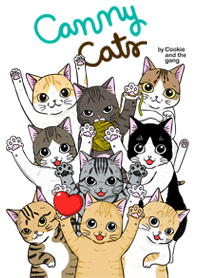 canny cats