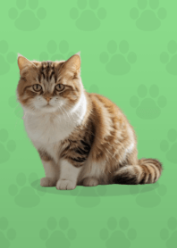 귀여운 먼치킨 테마 Green 01